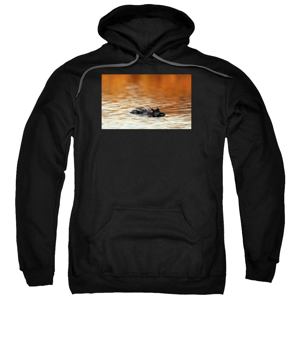 Amber Hour - Sweatshirt