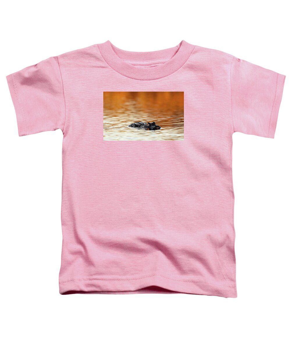 Amber Hour - Toddler T-Shirt