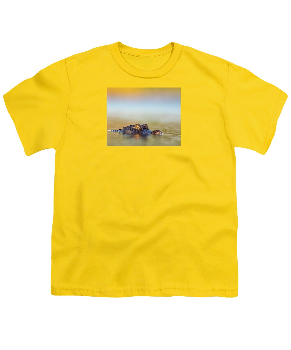 Apex - Youth T-Shirt