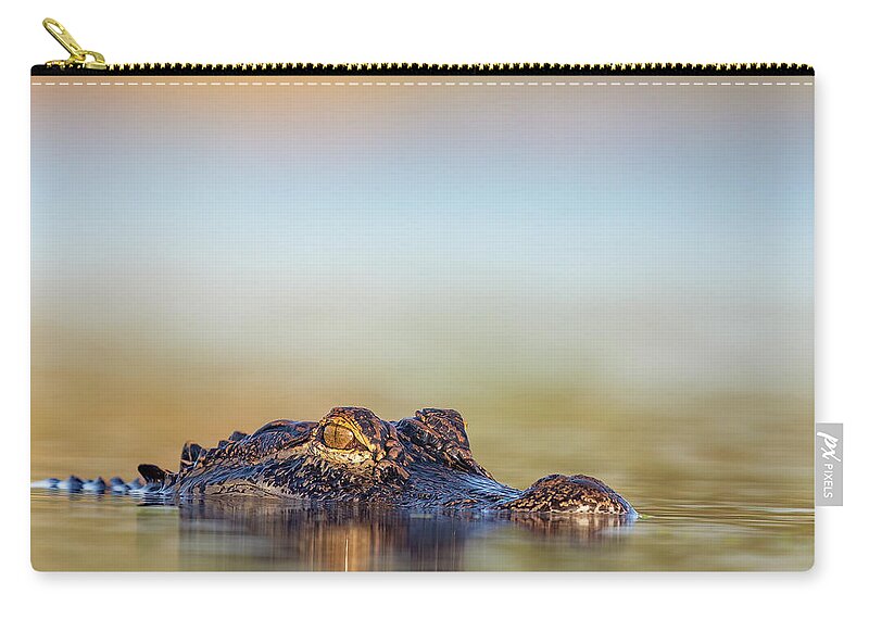 Apex - Zip Pouch