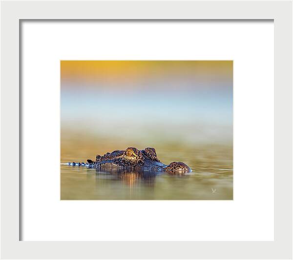Apex - Framed Print