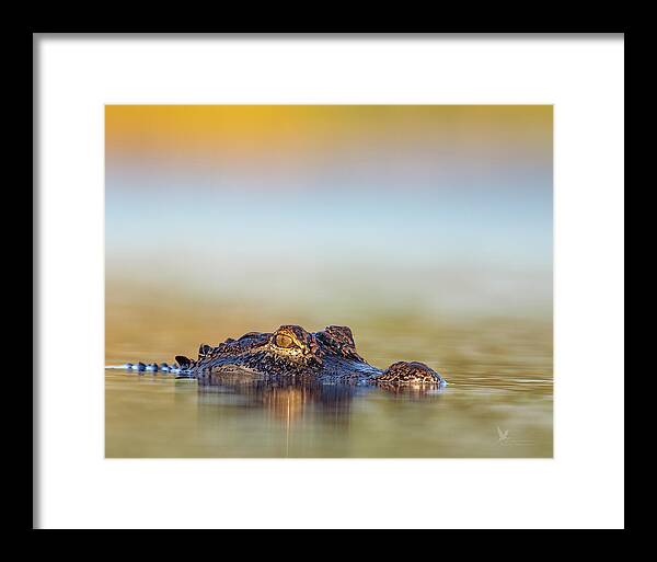 Apex - Framed Print