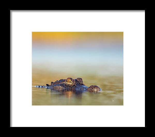 Apex - Framed Print