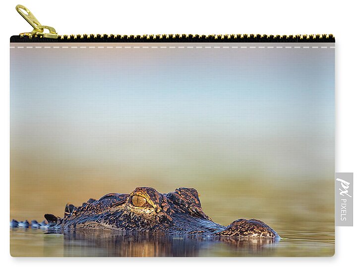 Apex - Zip Pouch
