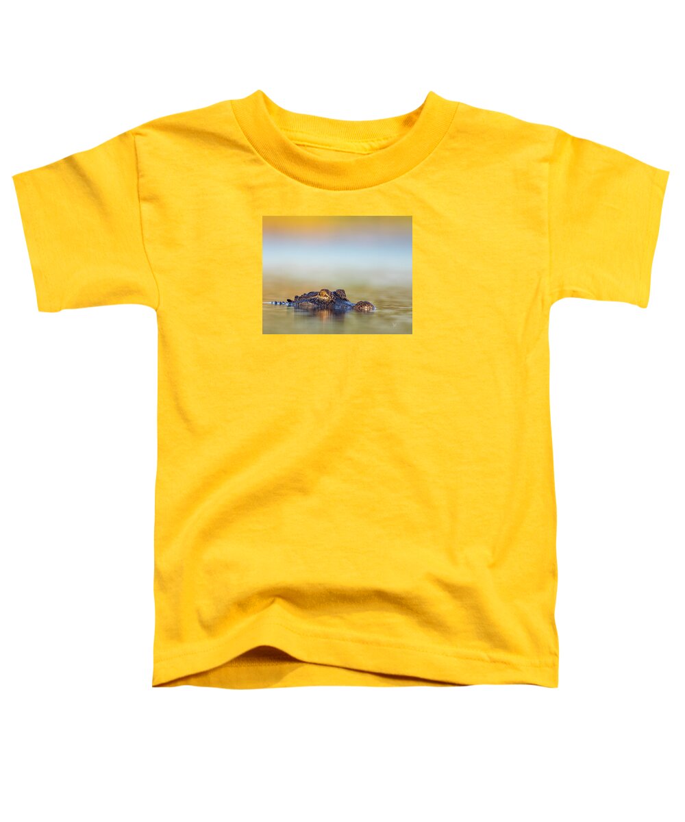 Apex - Toddler T-Shirt