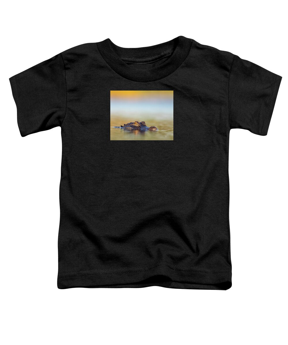 Apex - Toddler T-Shirt