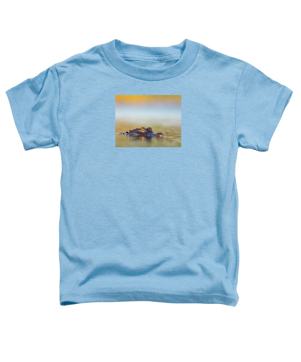 Apex - Toddler T-Shirt