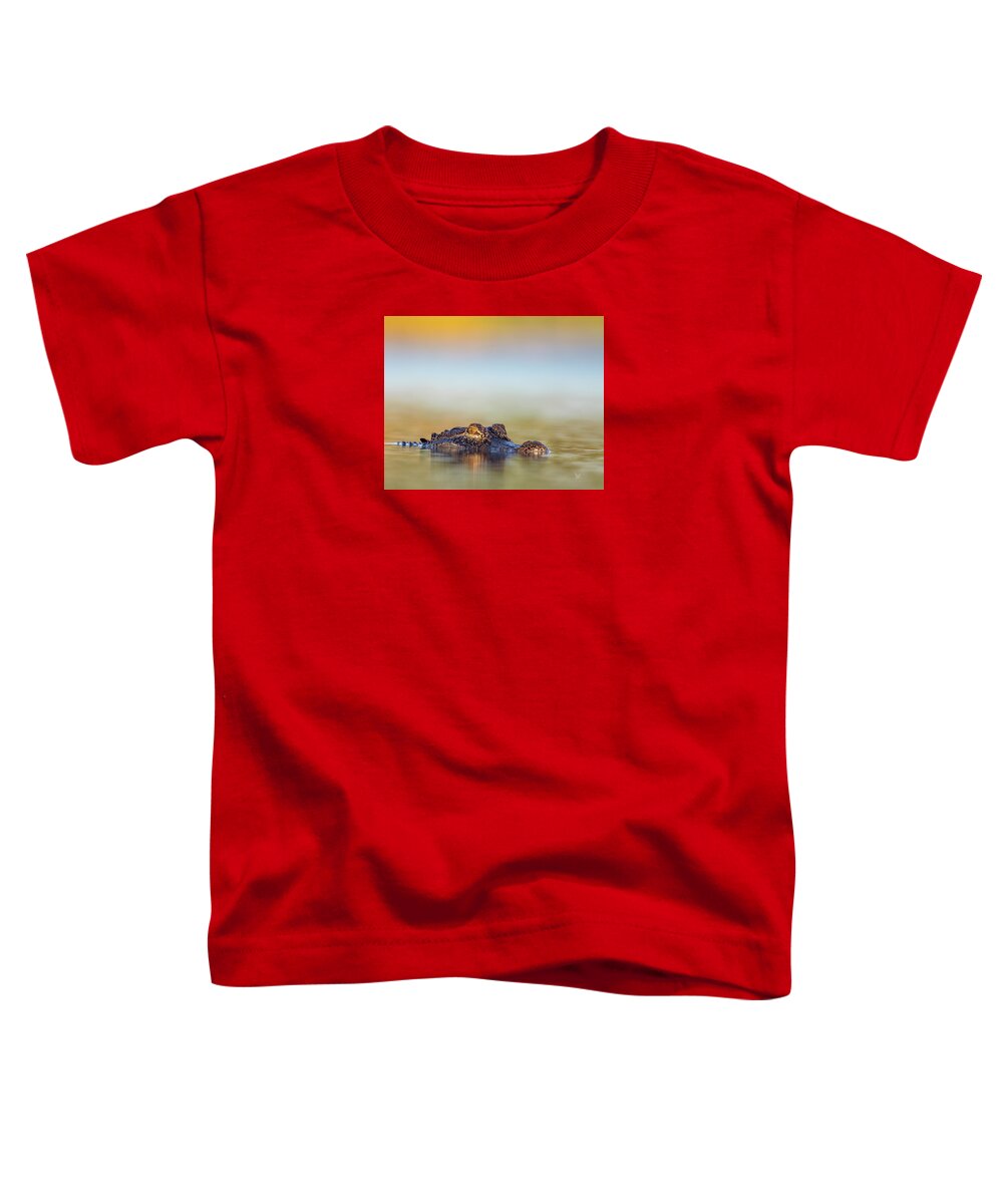 Apex - Toddler T-Shirt