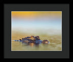 Apex - Framed Print