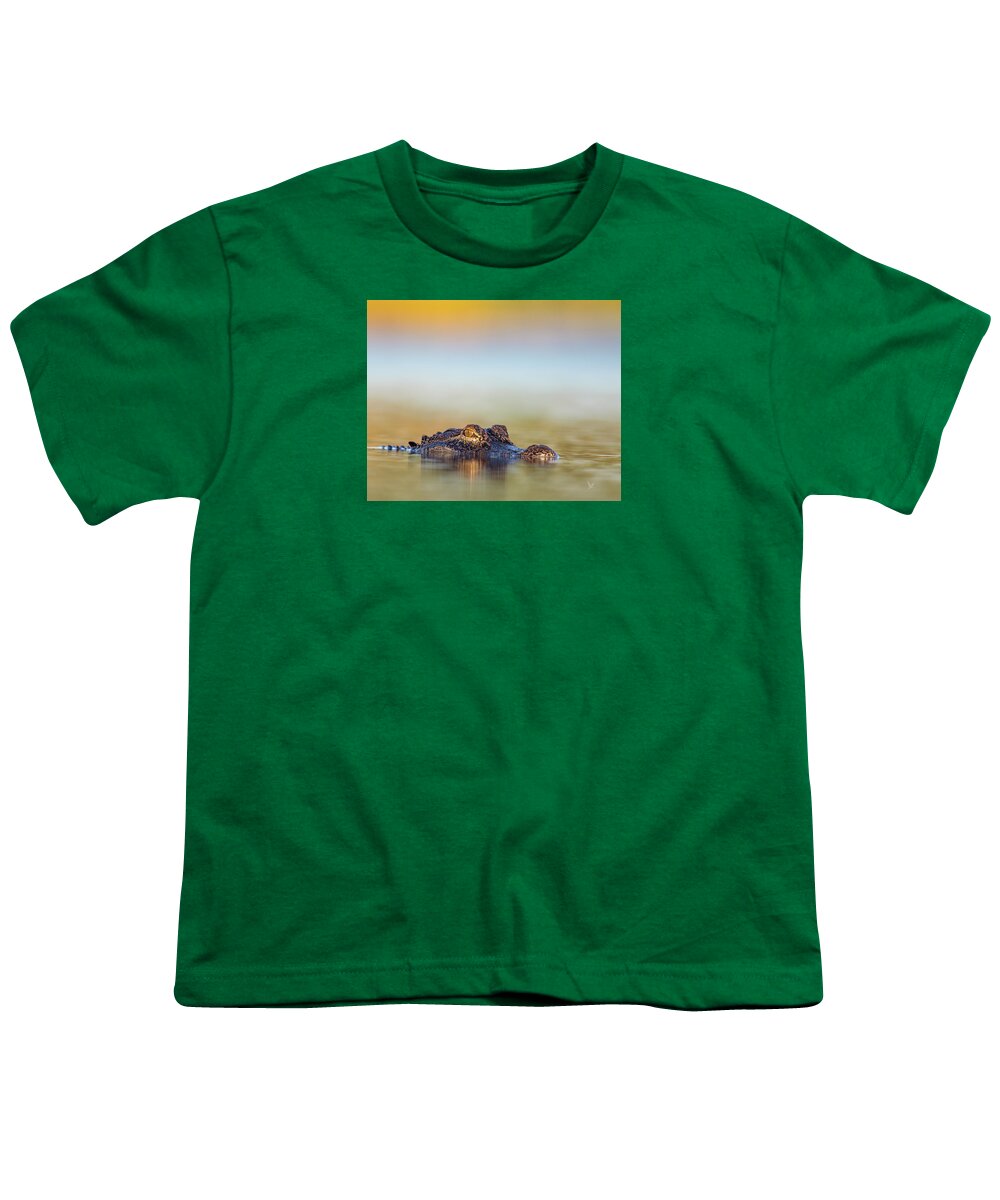Apex - Youth T-Shirt