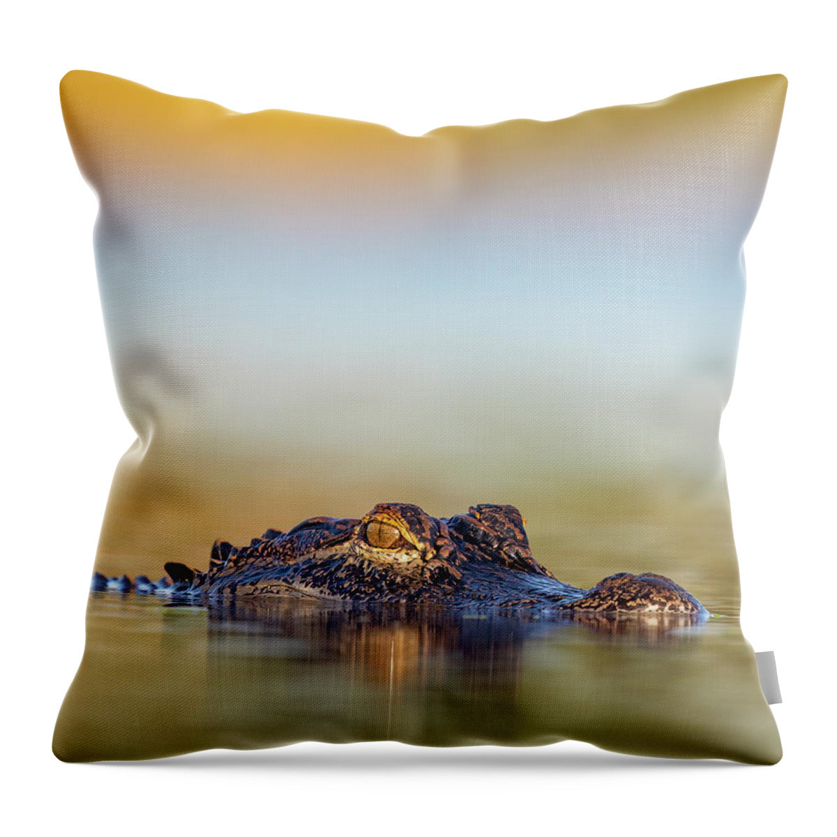 Apex - Throw Pillow