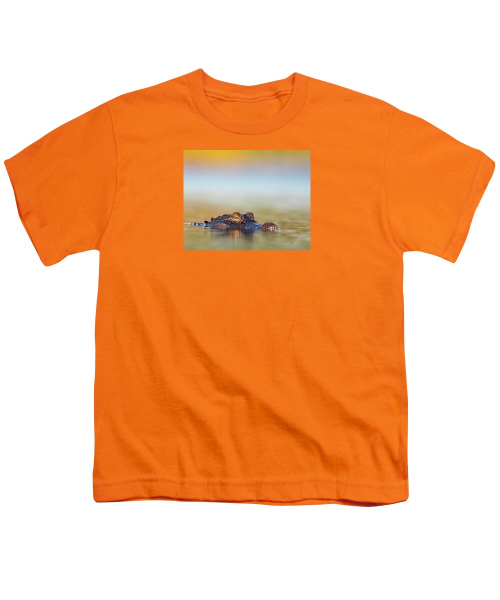 Apex - Youth T-Shirt