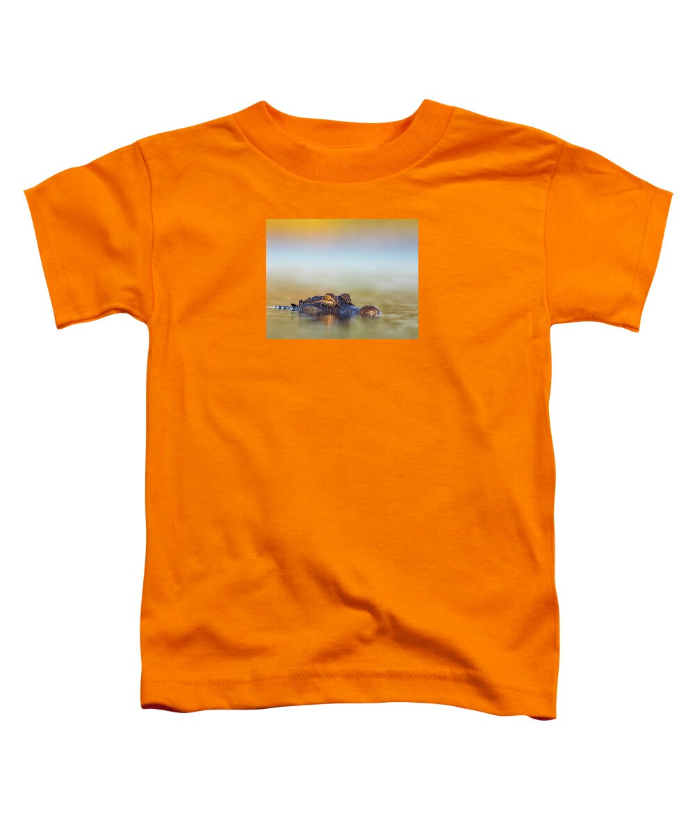 Apex - Toddler T-Shirt