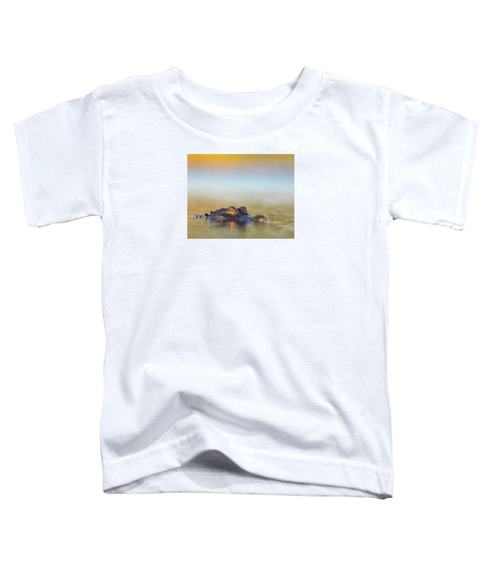 Apex - Toddler T-Shirt