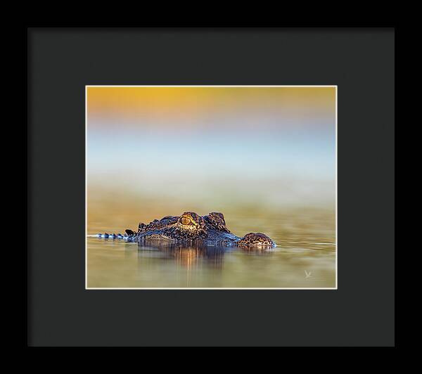 Apex - Framed Print