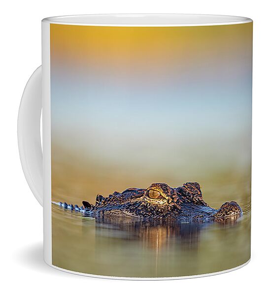 Apex - Mug
