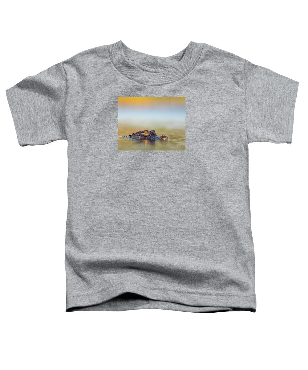Apex - Toddler T-Shirt