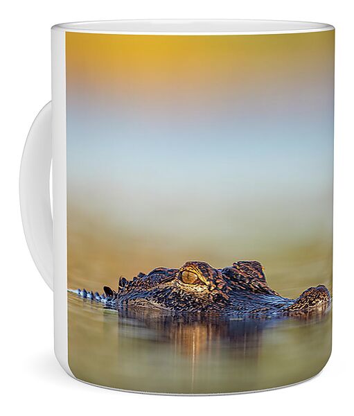 Apex - Mug