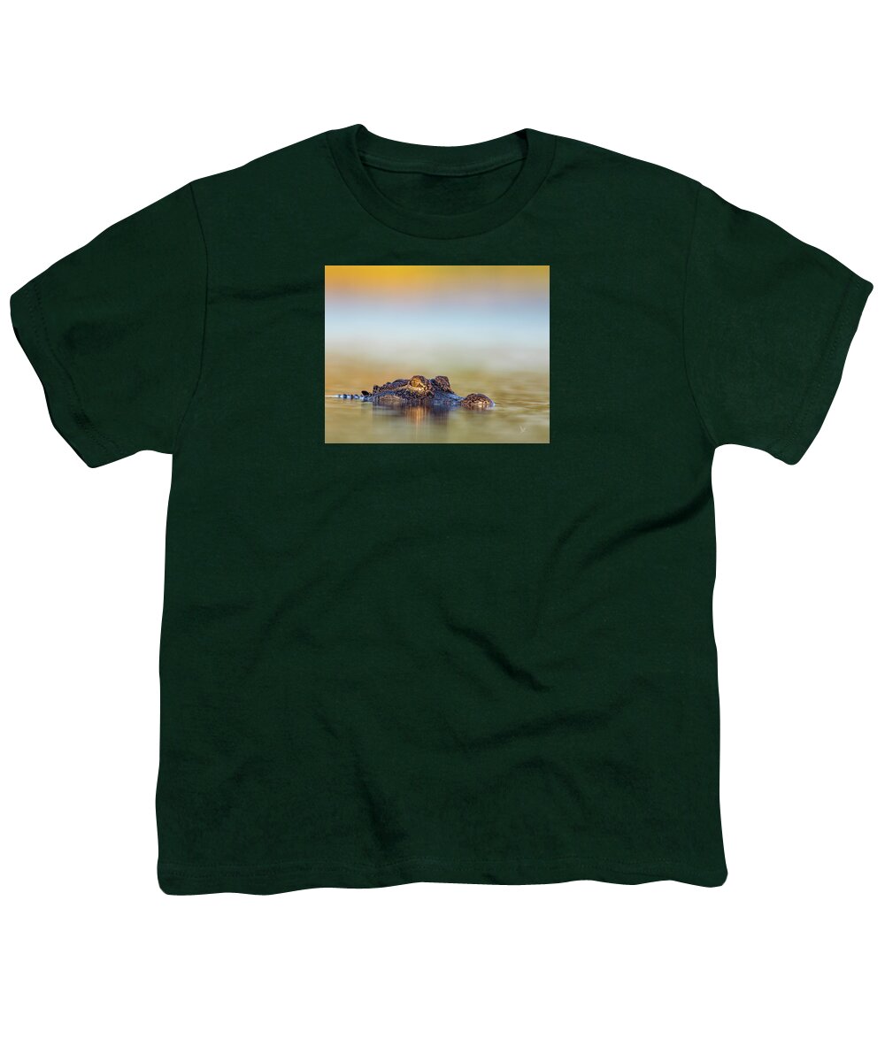 Apex - Youth T-Shirt