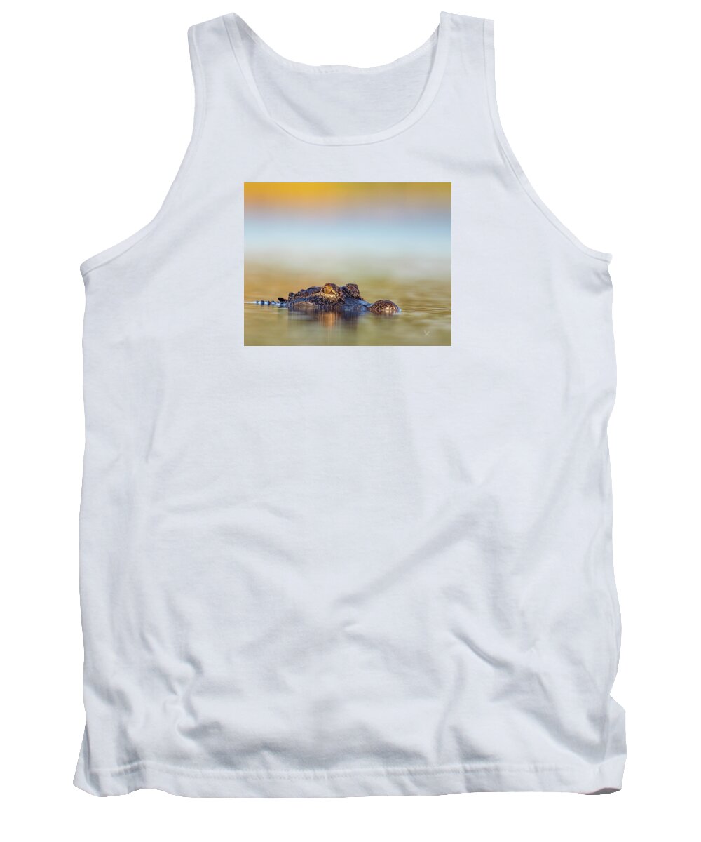 Apex - Tank Top