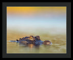 Apex - Framed Print