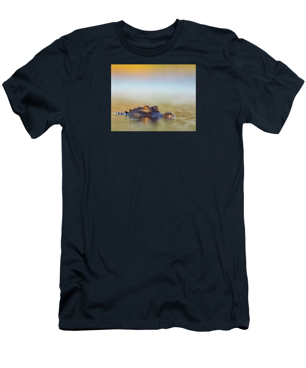 Apex - T-Shirt