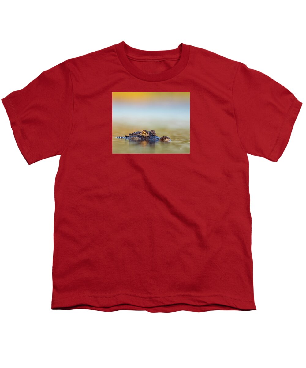 Apex - Youth T-Shirt