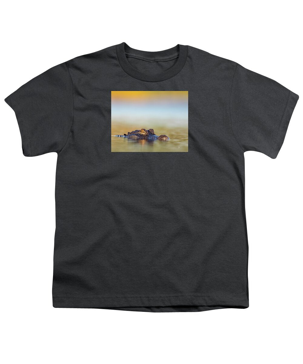 Apex - Youth T-Shirt