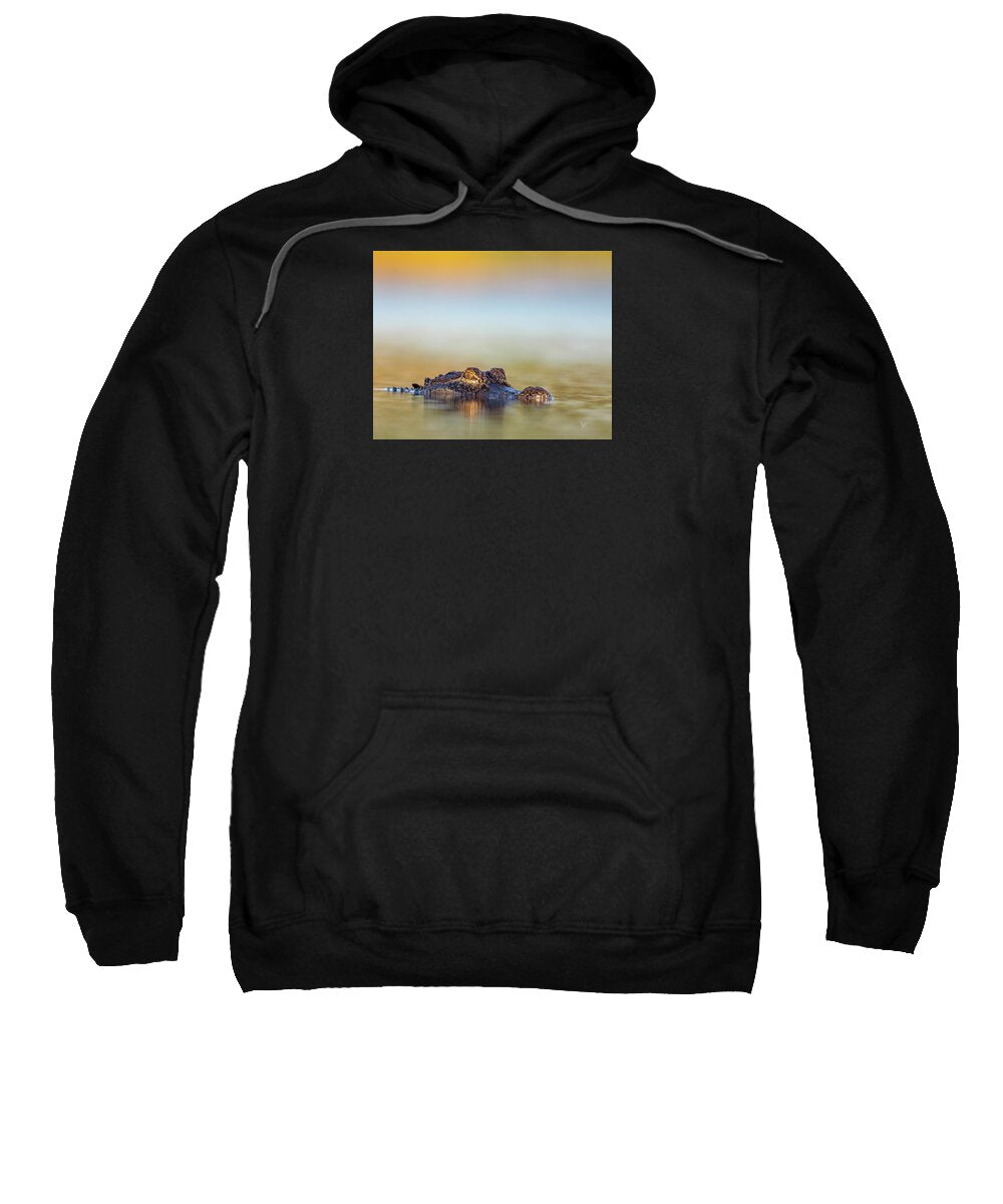 Apex - Sweatshirt