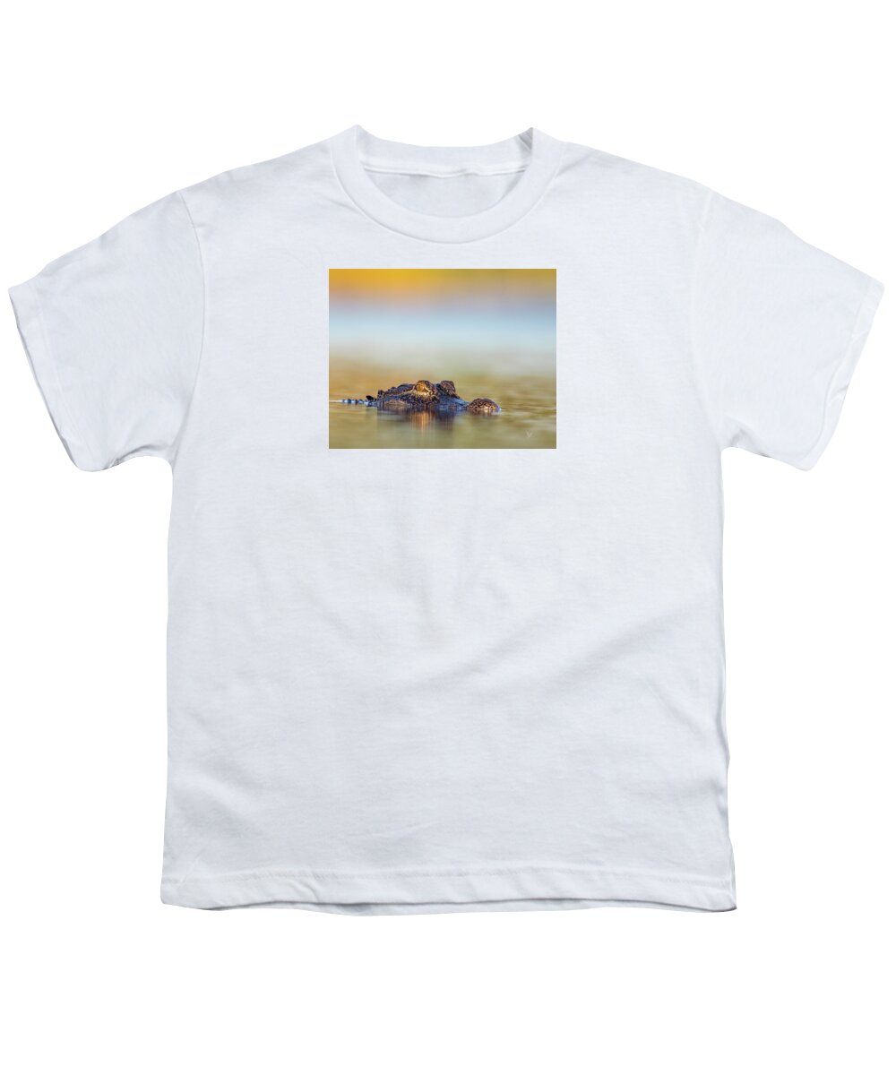 Apex - Youth T-Shirt
