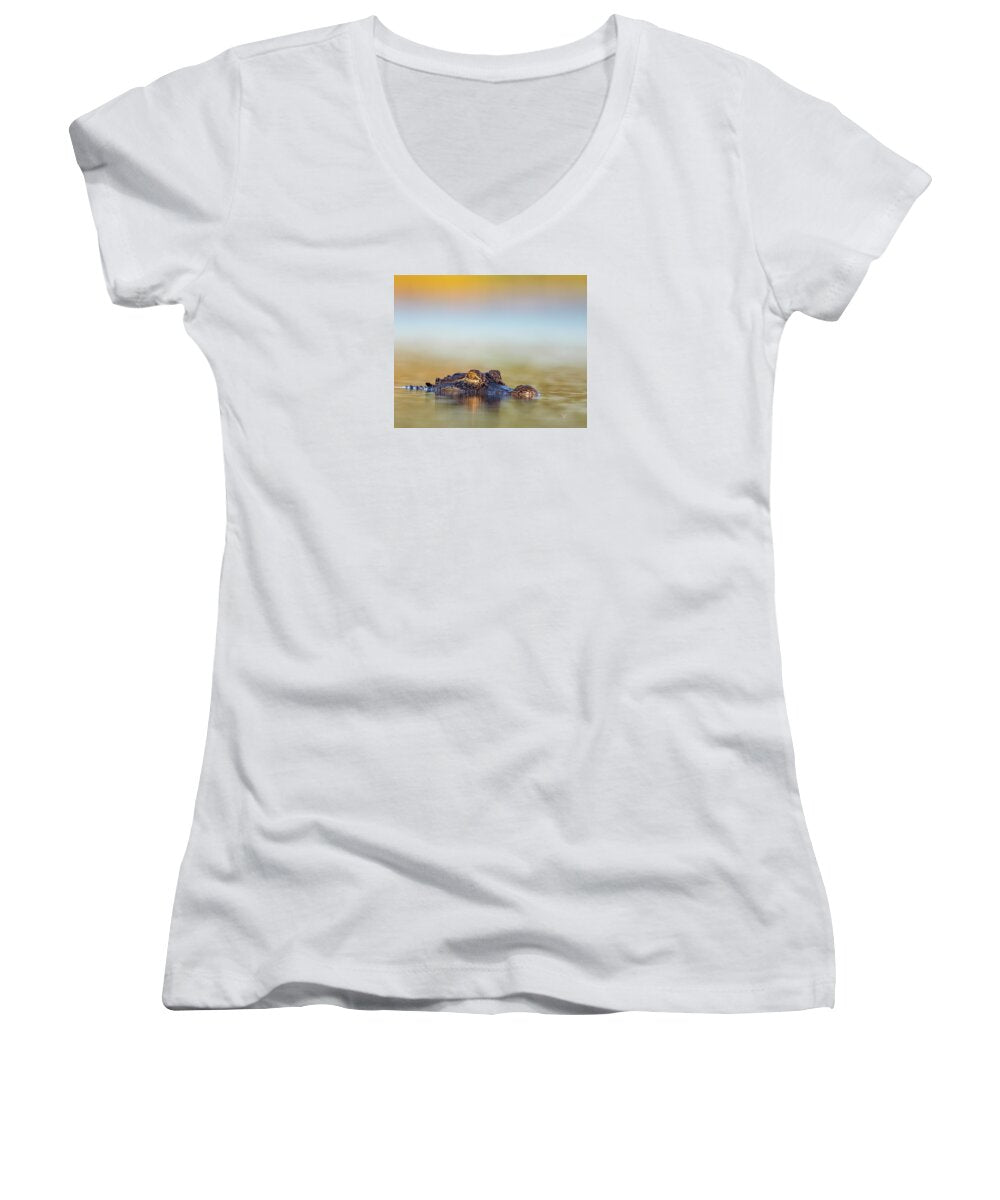 Apex - Women's V-Neck