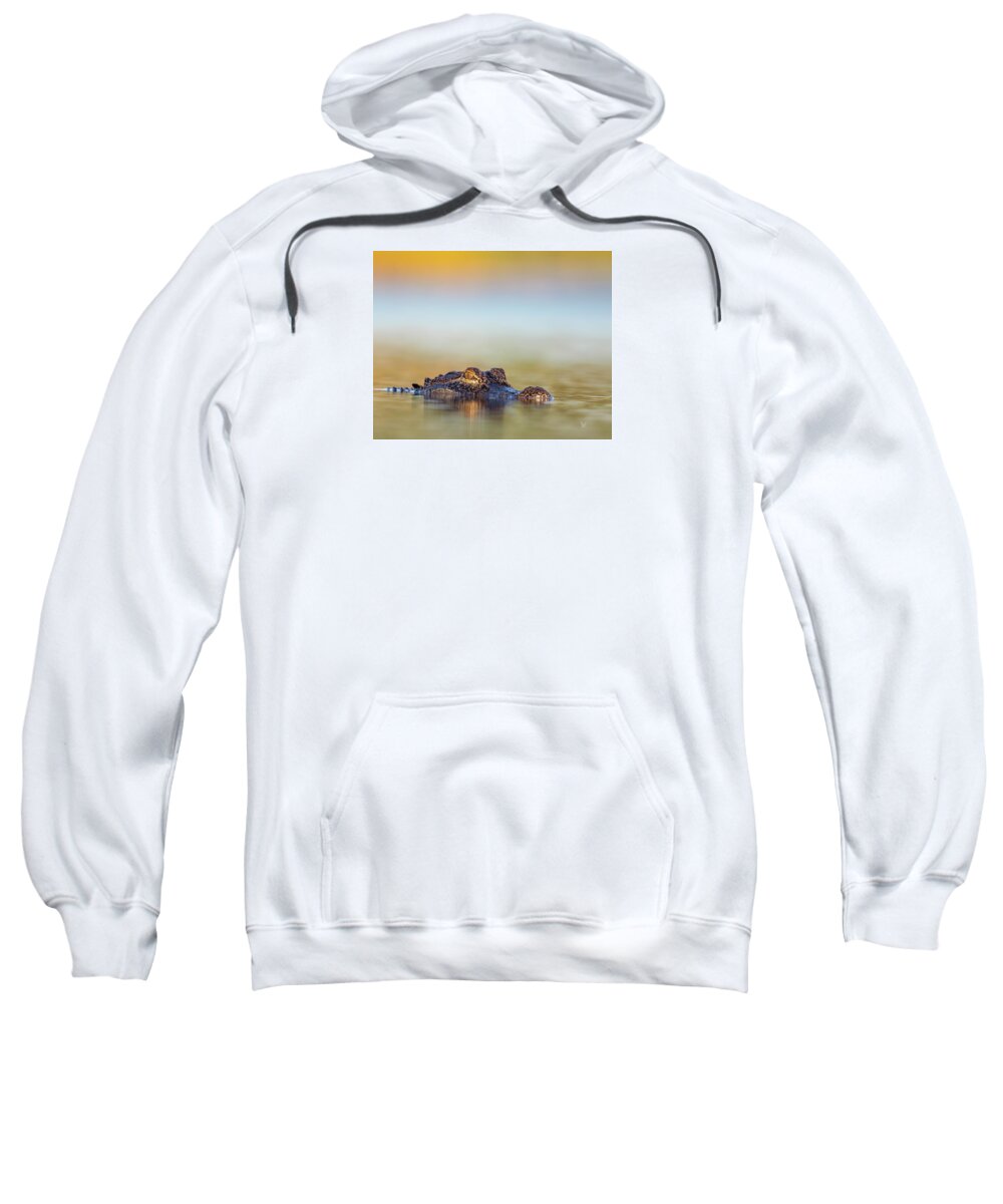 Apex - Sweatshirt