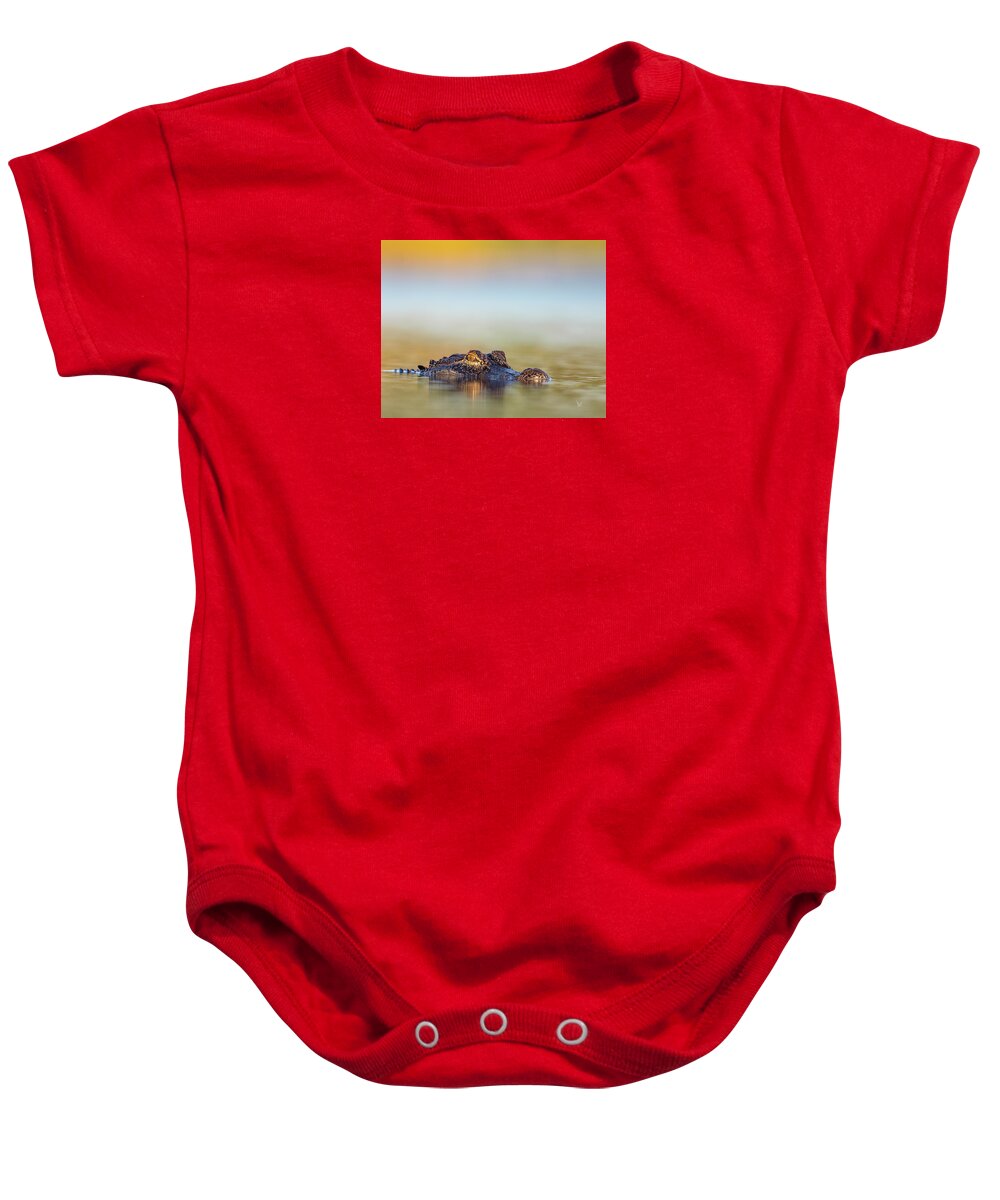 Apex - Baby One-Piece