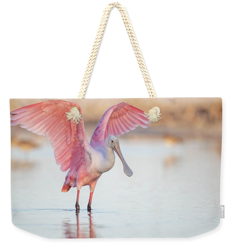 Blush - Weekender Tote Bag