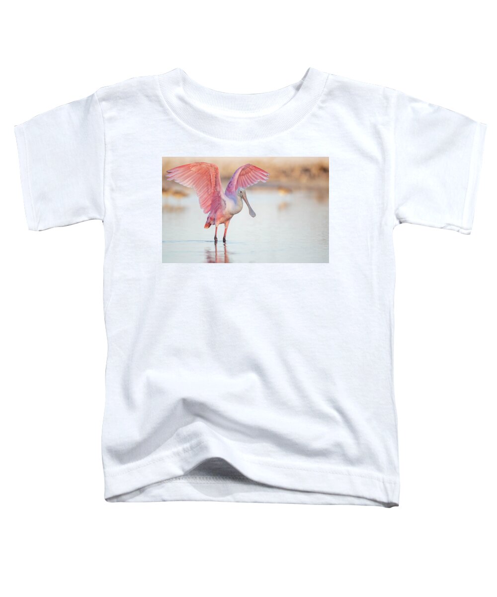Blush - Toddler T-Shirt