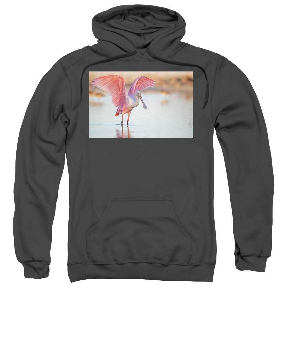 Blush - Sweatshirt