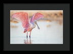 Blush - Framed Print
