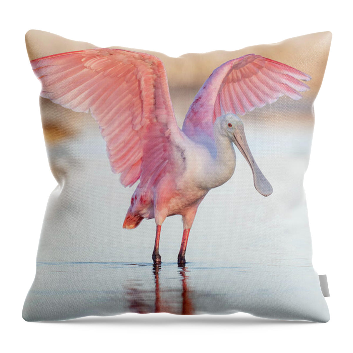 Blush - Throw Pillow