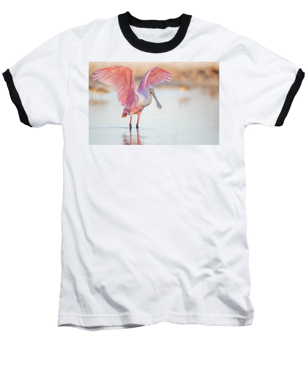 Blush - Baseball T-Shirt
