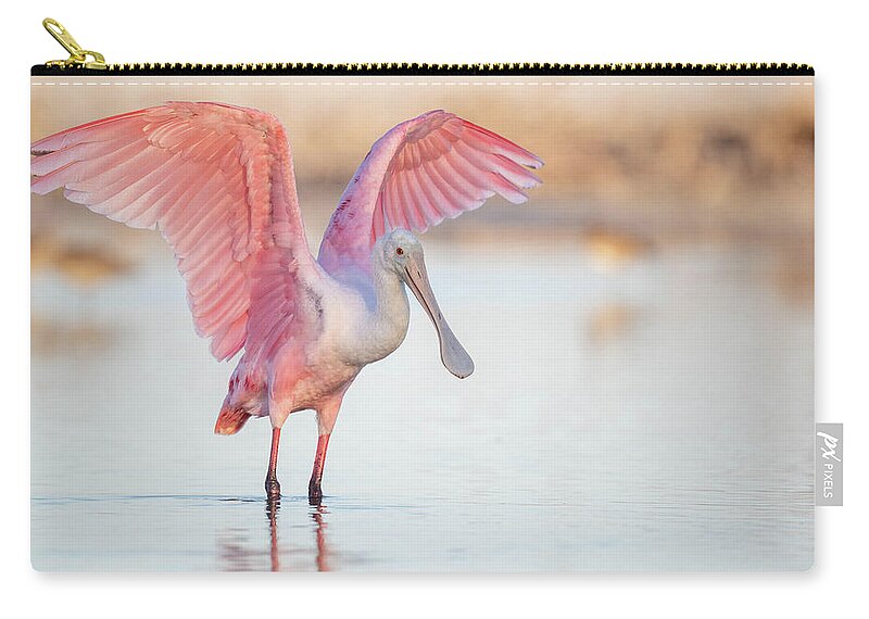 Blush - Zip Pouch