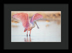 Blush - Framed Print