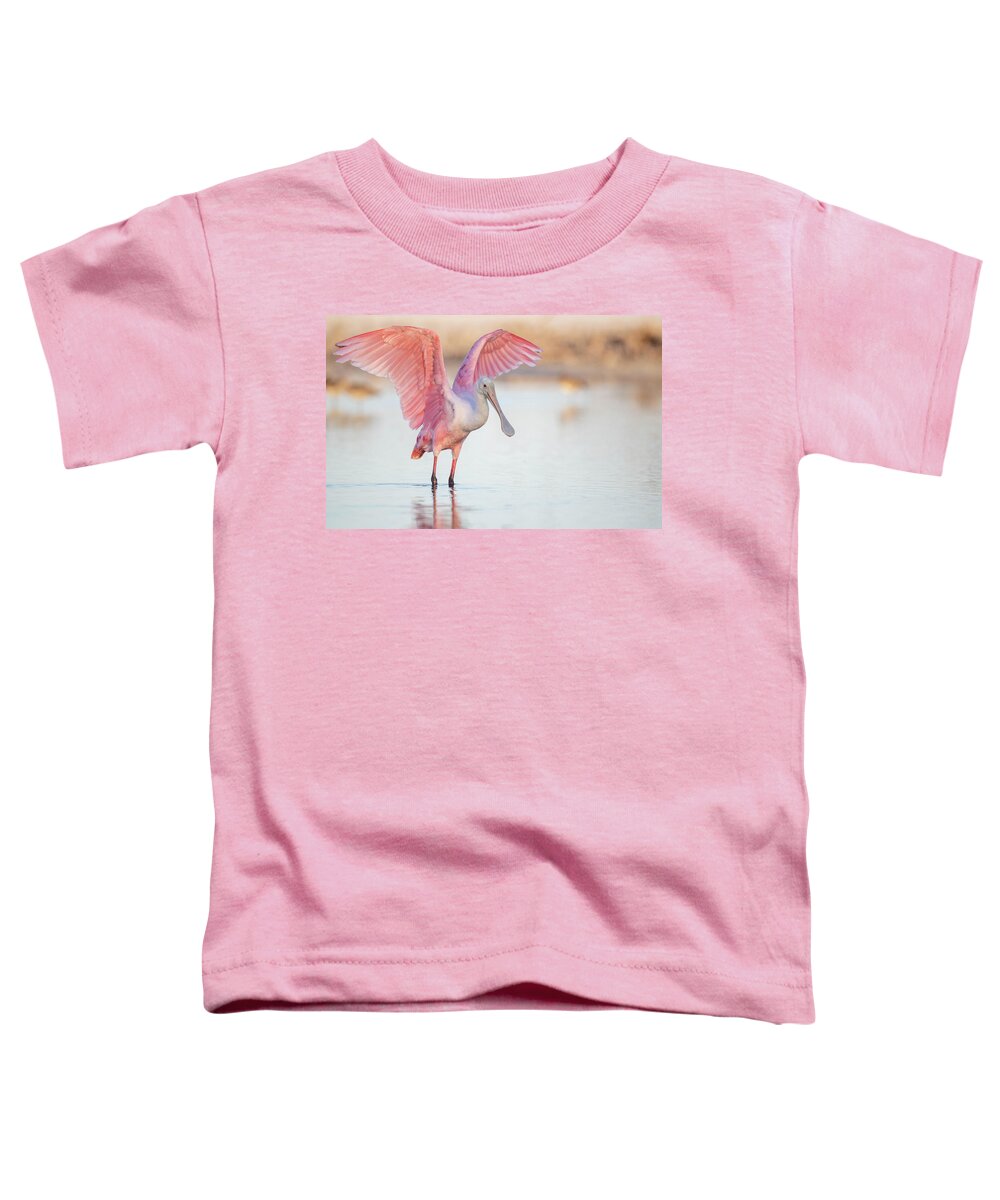 Blush - Toddler T-Shirt