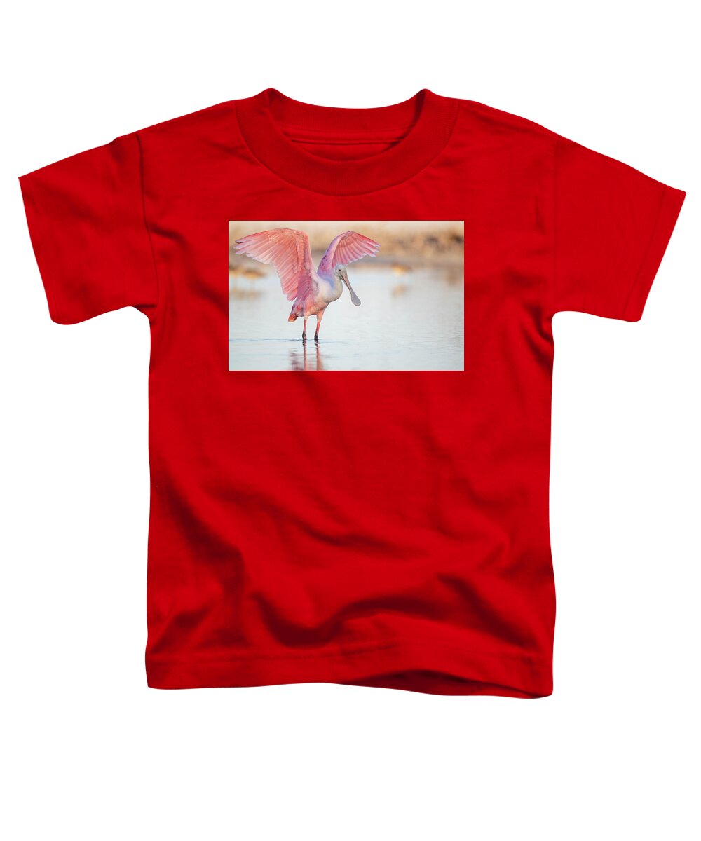 Blush - Toddler T-Shirt