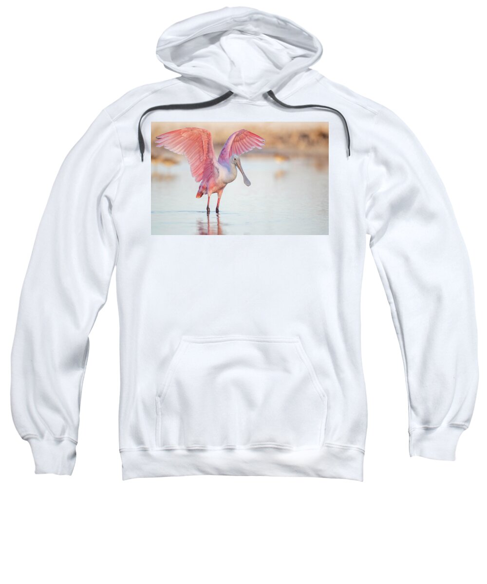 Blush - Sweatshirt