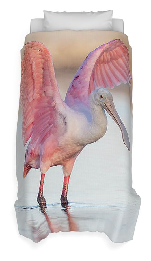 Blush - Duvet Cover