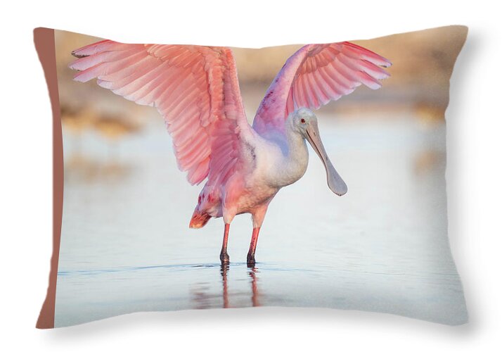 Blush - Throw Pillow