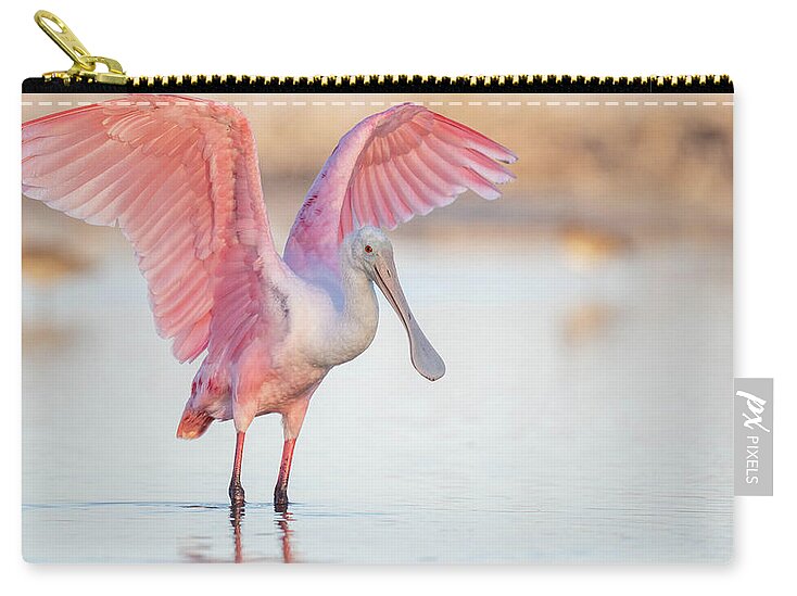 Blush - Zip Pouch