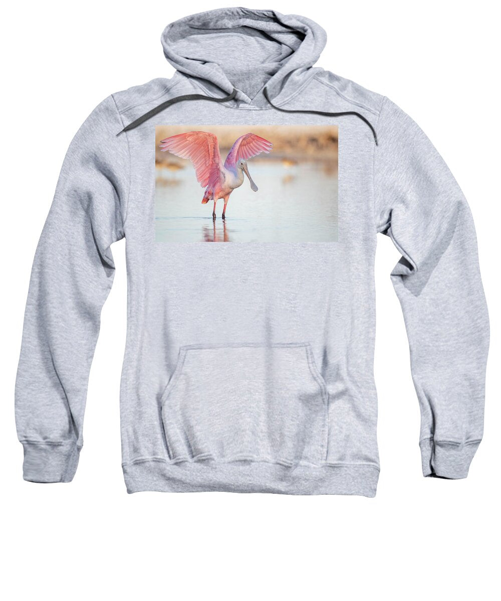 Blush - Sweatshirt