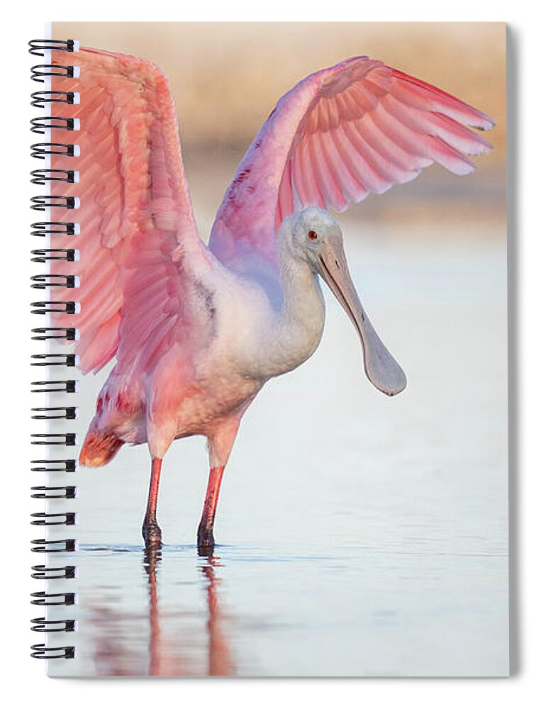 Blush - Spiral Notebook