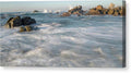 Cabo - Canvas Print
